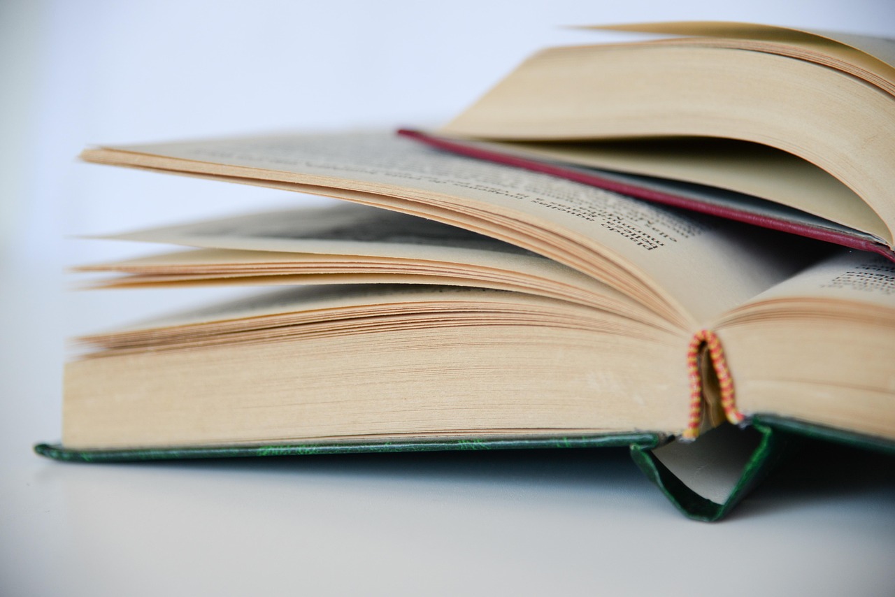 雷丁大学 MSc Entomology (by research) 录取要求 document and eligibility review